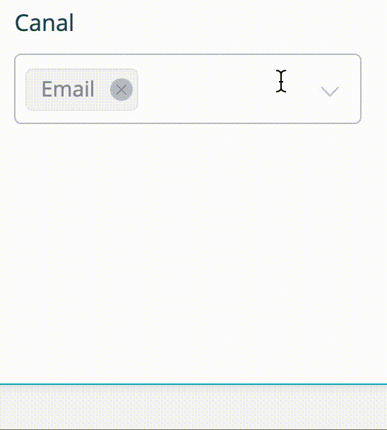 Apercu-canaux-espace-client-contact-manager+