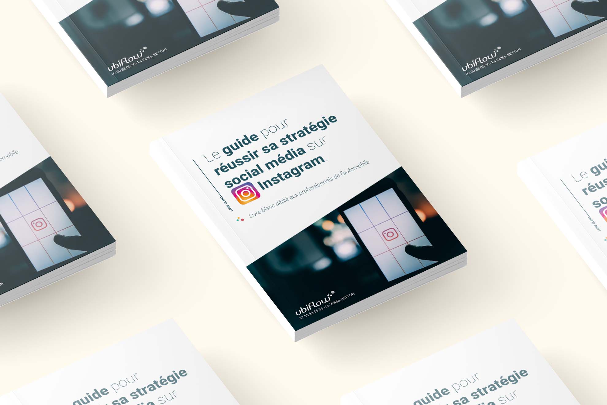 <span id="hs_cos_wrapper_name" class="hs_cos_wrapper hs_cos_wrapper_meta_field hs_cos_wrapper_type_text" style="" data-hs-cos-general-type="meta_field" data-hs-cos-type="text" >[Livre blanc automobile] : Le guide Instagram 2021</span>